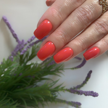 Ирина Примина, Бровары Фото - 38