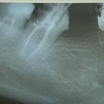 Анастасия Косюк (Новикова), Харьков Фото - 7