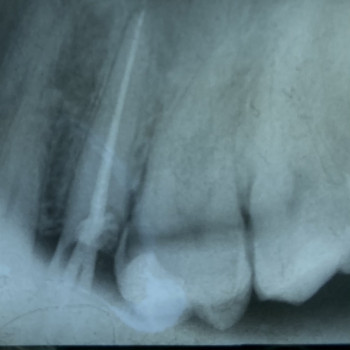 Анастасия Косюк (Новикова), Харьков Фото - 8