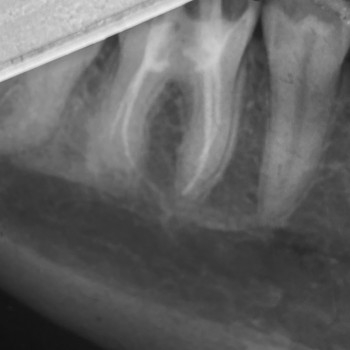 Анастасия Косюк (Новикова), Харьков Фото - 9