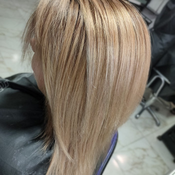 Реконструкція/відновлення волосся
                    Парикмахер-колорист Олеся Днепр