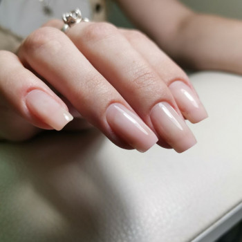 Олена Прасол, Київ Фото - 7