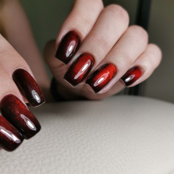 Олена Прасол, Київ Фото - 8