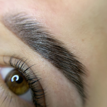 Окрашивание бровей и ресниц
                    Лешмейкер София Полтава