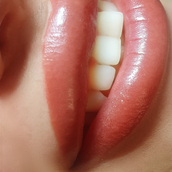 Якісний прокрас-запорука досконалої зажившої роботи