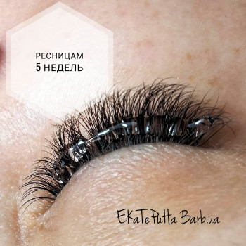 Наращивание ресниц
                    Мастер маникюра Екатерина Днепр