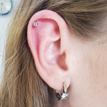 Гранд Акцент, Житомир Фото - 44