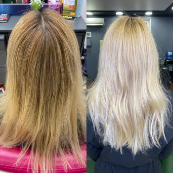 Осветление открытой авторской техникой 
Тонирование масляны