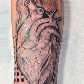 Сергiй , Кривий Ріг Фото - 98