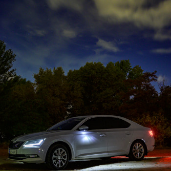 Олексій Нікіпорець, Київ Фото - 45