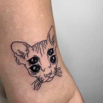 кошка, сфинкс, тату кот
