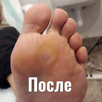 Тетяна Міхєєва, Київ Фото - 40