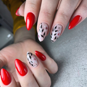 Фото з портфоліо салону Міа Бʼюті (салон краси, Вінниця)