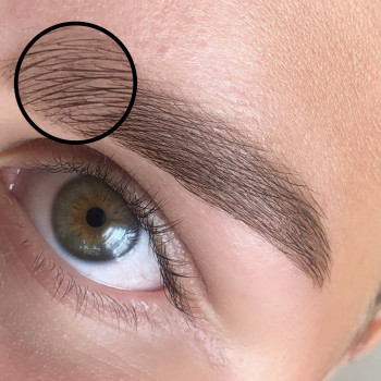 Брови, оформлення брів
                    Бровист Марина Львов