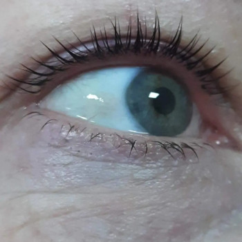 Ламі вій-200грн