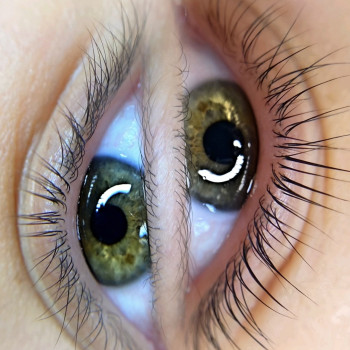 Ламінування вій
                    Лешмейкер Наталя Львов