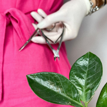 Atmosfera Krasu cosmetology, Чернівці Фото - 38