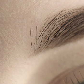 Підліткові брови
                    Бровист Ксения Белая Церковь