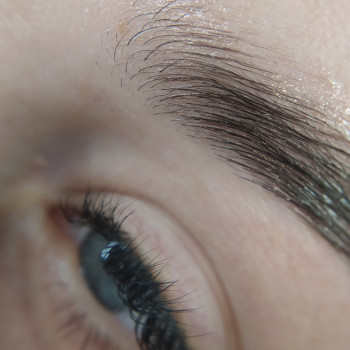 Ламінування брів
                    Бровист Ксения Белая Церковь