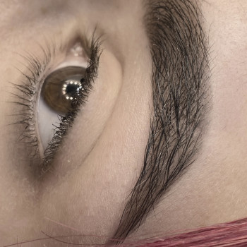 Фарбування фарбою та кореція, фото - бровіст Аня Кульчицька