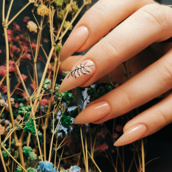 Вікторія Шенгелія, Одесса Фото - 13