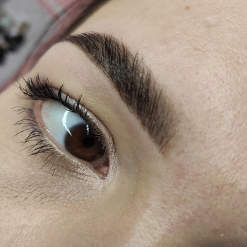 Моделирование бровей и покраска
                    Мастер перманентного макияжа Наталия Каменское