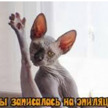 Катерина Боцян, Київ Фото - 10