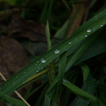 Анастасія Березієнко, Львів Фото - 14