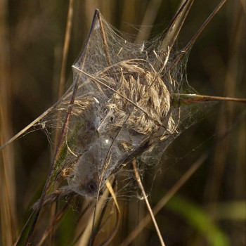 Анастасія Березієнко, Львів Фото - 7