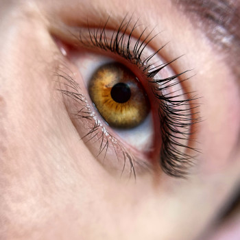 Ламінування вій
                    Визажист Наталия Запорожье