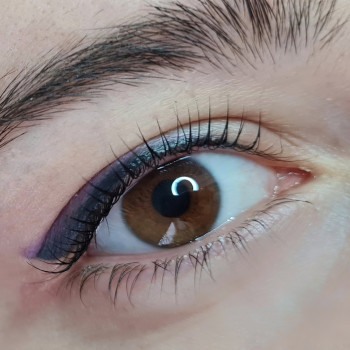 Ламинирование ресниц
                    Майстер перманентного макіяжу Anna Дніпро