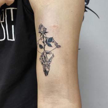 Vean, Кременчуг Фото - 28