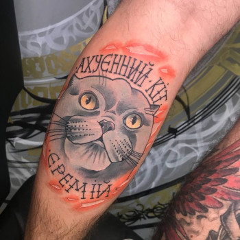 цветные, кошка, тату кот