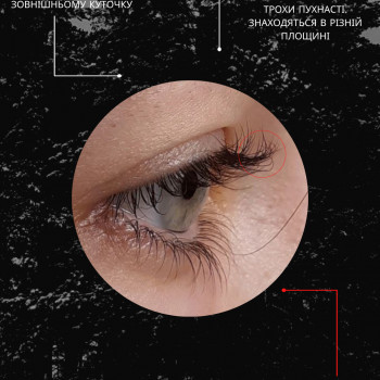 Ламінування вій
                    Бровист Вікторія Киев