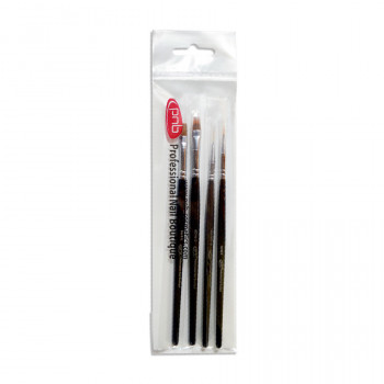 Набір пензликів для дизайну нігтів PNB Set of Brushes Master Pro Майстер Про, 4 шт