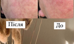 Карбоновий пілінг Майстер перманентного макіяжу Виктория Запоріжжя