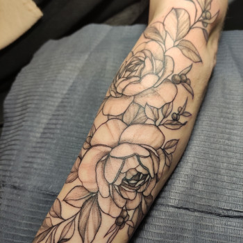 Любимые пионы