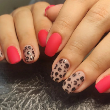 Дана Андонова, Беляевка Фото - 8