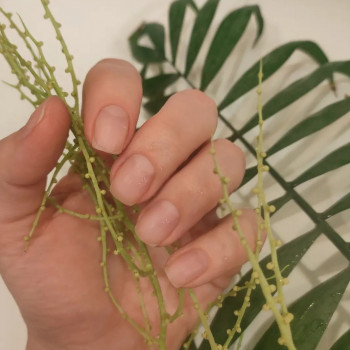 Дана Андонова, Беляевка Фото - 10