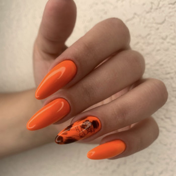 Наталія Залюбовська, Бровари Фото - 9