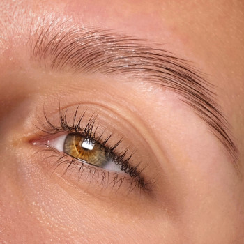 Ламінувааня вій
                    Бровіст Евгения Київ