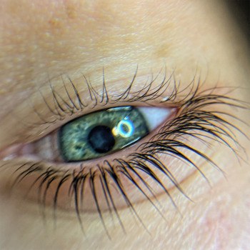 Ламінувааня вій
                    Бровіст Евгения Київ