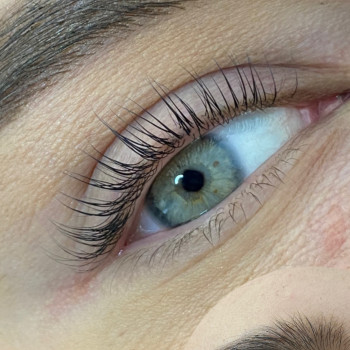 Ламінувааня вій
                    Бровіст Евгения Київ