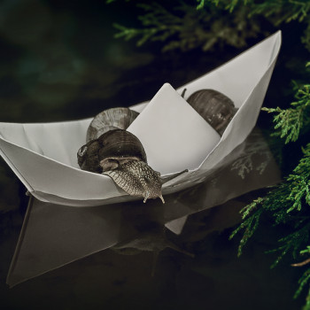 Олександр Пойченко , Київ Фото - 30