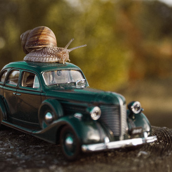 Олександр Пойченко , Київ Фото - 31