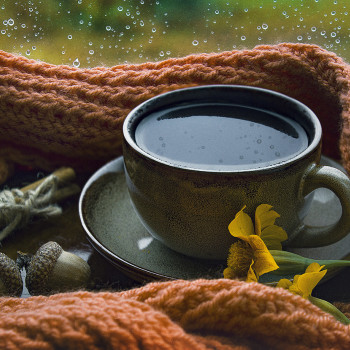 Олександр Пойченко , Київ Фото - 33