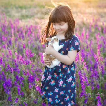  , фото - Фотограф Роман Агеєнко