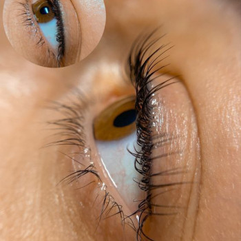 Ламінування вій
                    Салон краси ЛайфТріо Дніпро