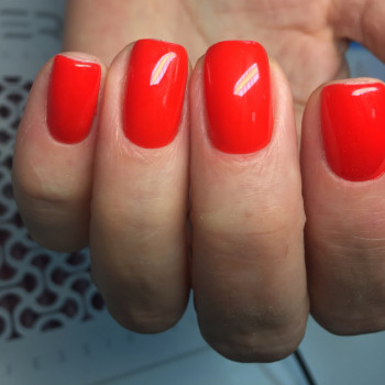 Світлана Немировська, Николаев Фото - 12