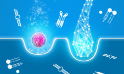 Екзосоми для волосся Медичний центр Alpha Cell Рівне
